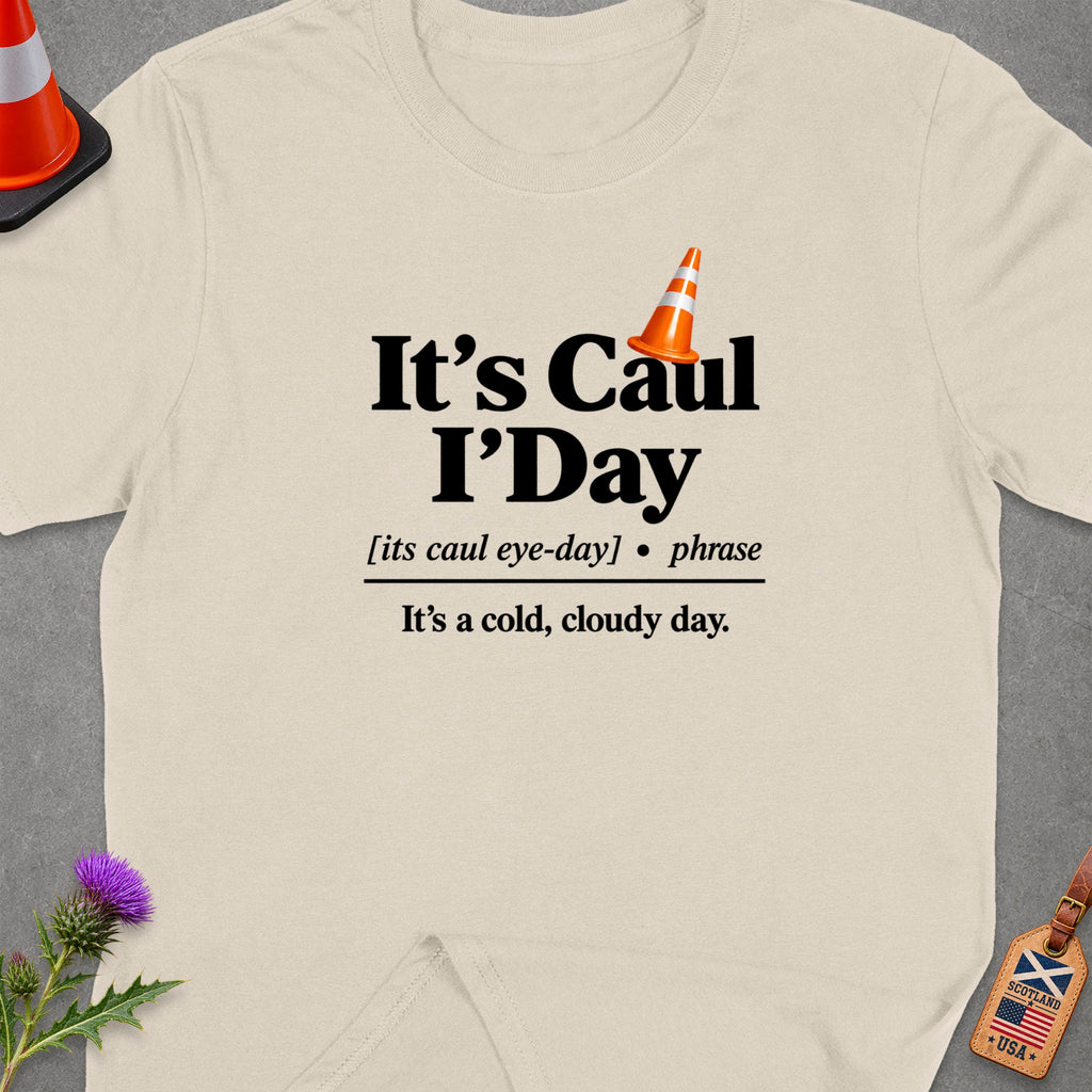 T-shirt with text "It's Caul I'Day" and definition for cold, cloudy day.