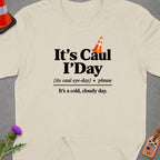 T-shirt with text "It's Caul I'Day" and definition for cold, cloudy day.
