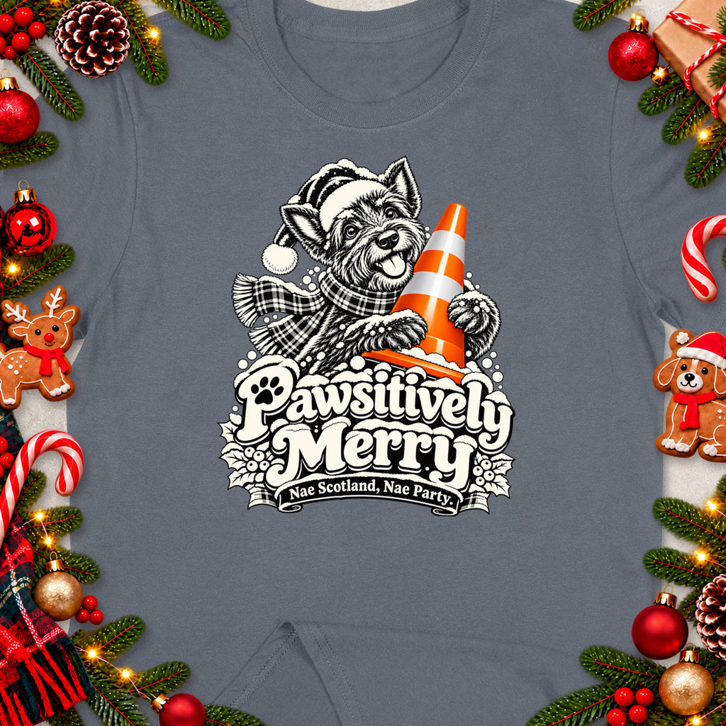 Dog in Santa hat holding orange cone, text Pawsitively Merry Nae Scotland, Nae Party.
