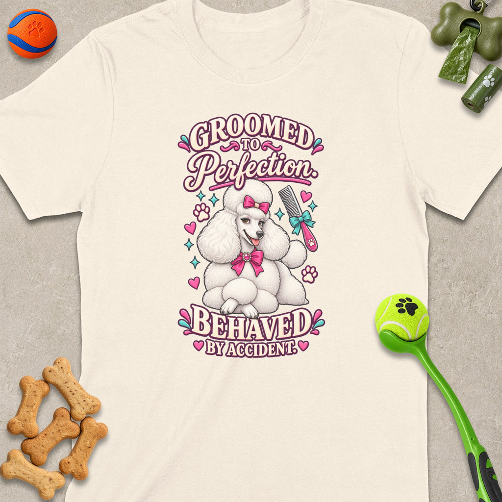White t-shirt with poodle graphic saying "Groomed to Perfection, Behaved by Accident."