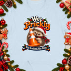 Hedgehog wearing Santa hat and scarf holding traffic cone with text "Nae Scotland, Nae Party".